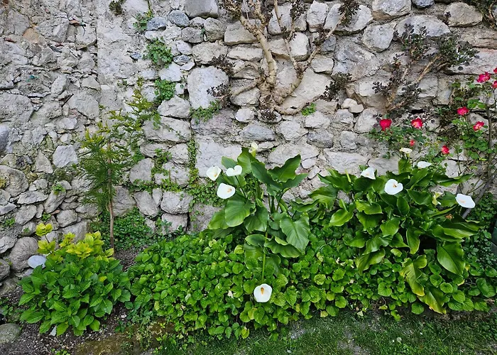 Gardainn Giardino 38A Riva del Garda