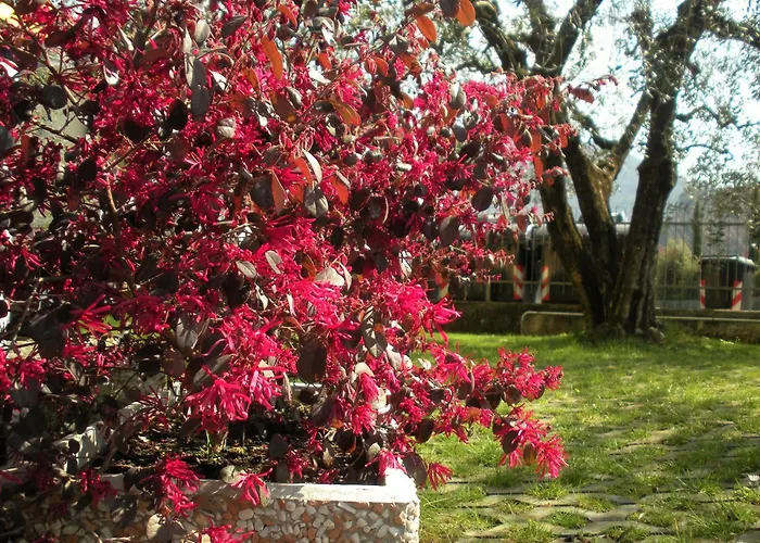 Bed and Breakfast R&B Casa Wanda Since 1999 Riva del Garda